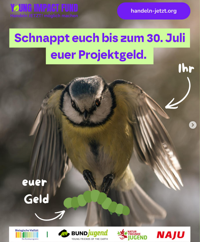 mgjmbkav25qccobt.jpg