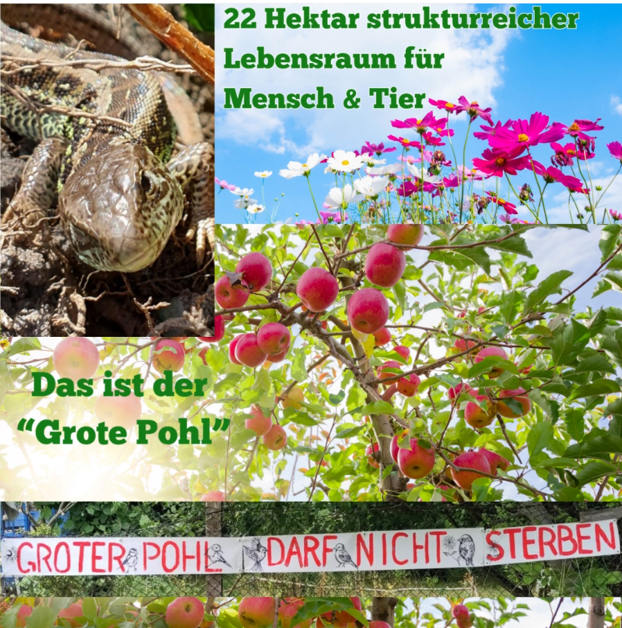 ttlpzel3mrkqnnme.png
