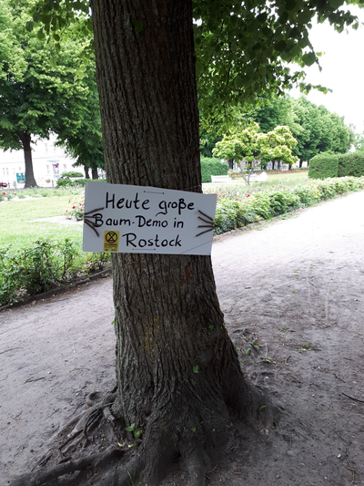 Mitmachzentrale: Rostocker Klimaaktivisti brauchen DEINE Hilfe