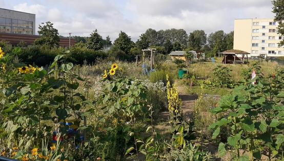 Vielfalter Interkultureller Garten Güstrow